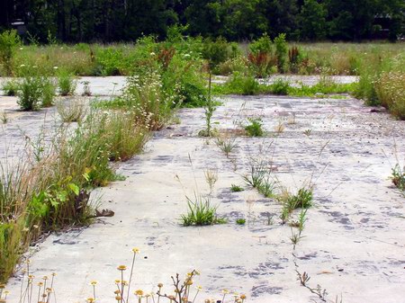 Starlite Drive-In Theatre - Concession Foundation - Photo From Water Winter Wonderland